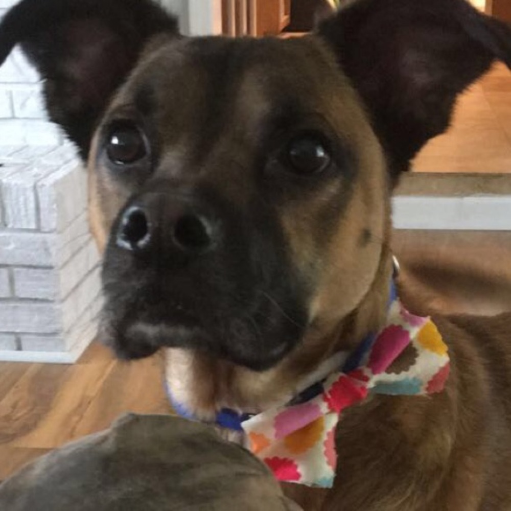 Meet your Posher, Mady